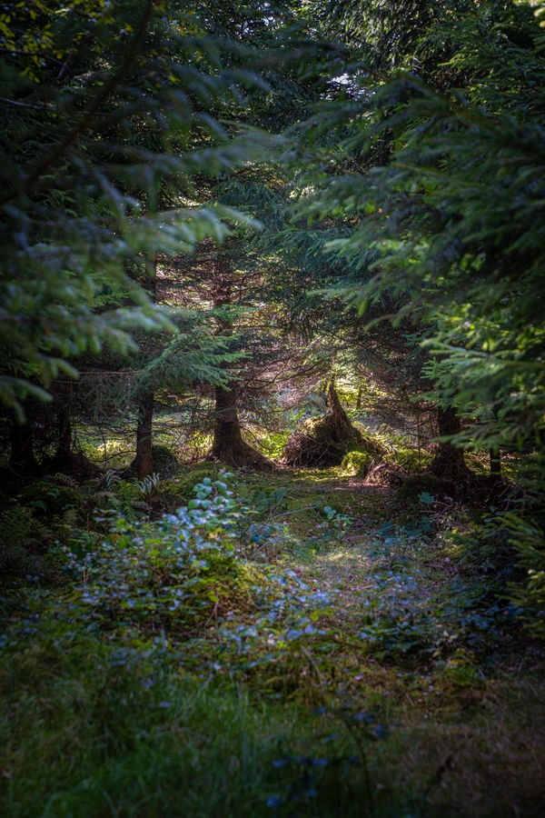 Ireland