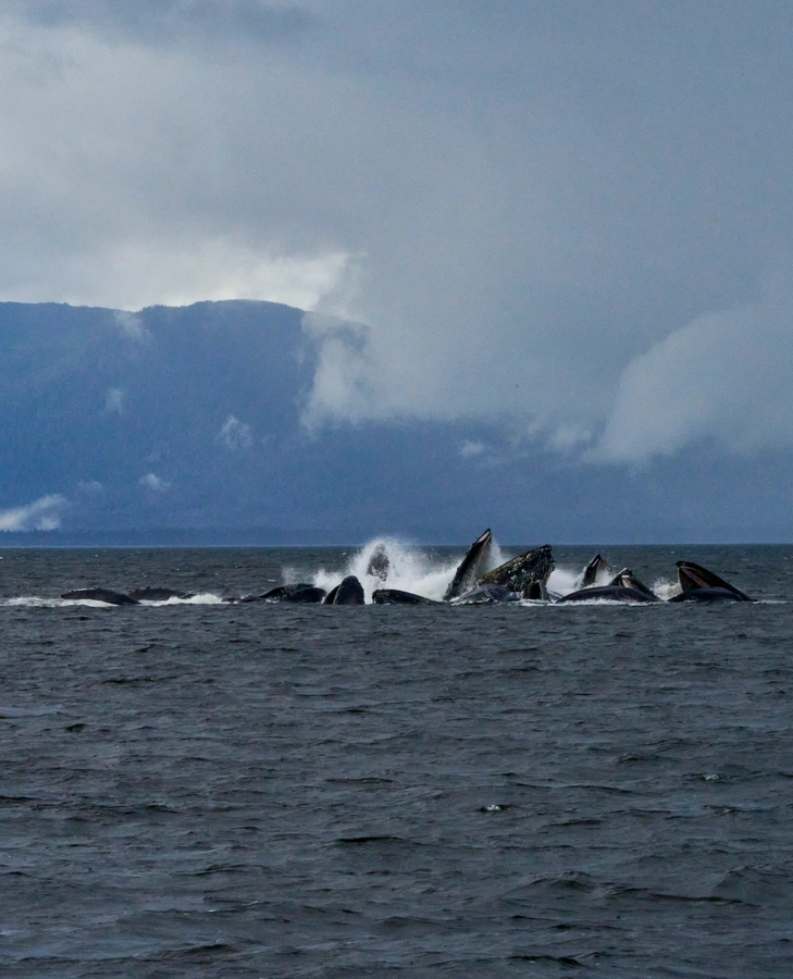 Peterburg, Alaska
