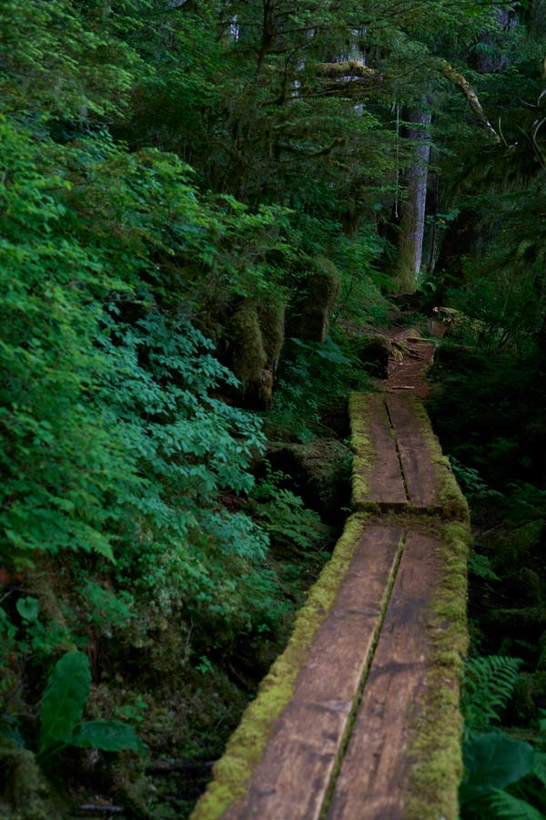 Peterburg, Alaska