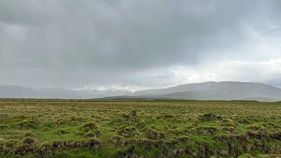 Iceland