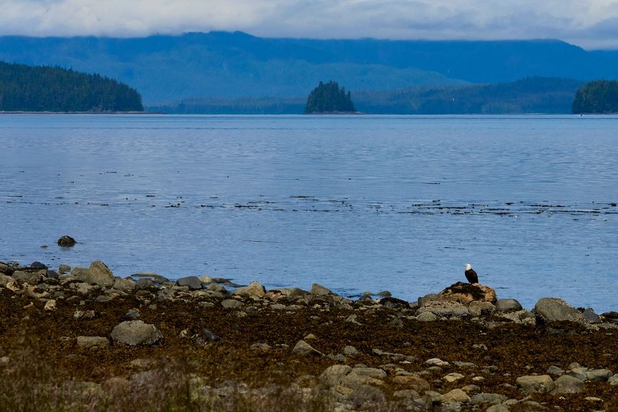 Peterburg, Alaska