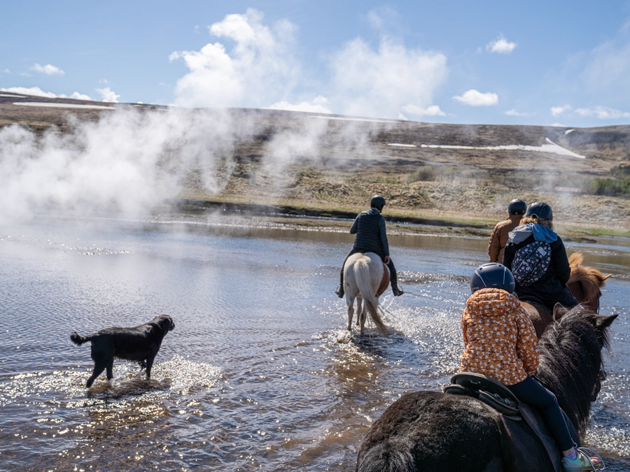 Iceland