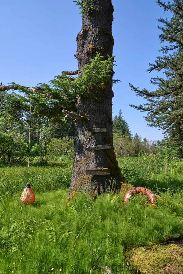 Peterburg, Alaska