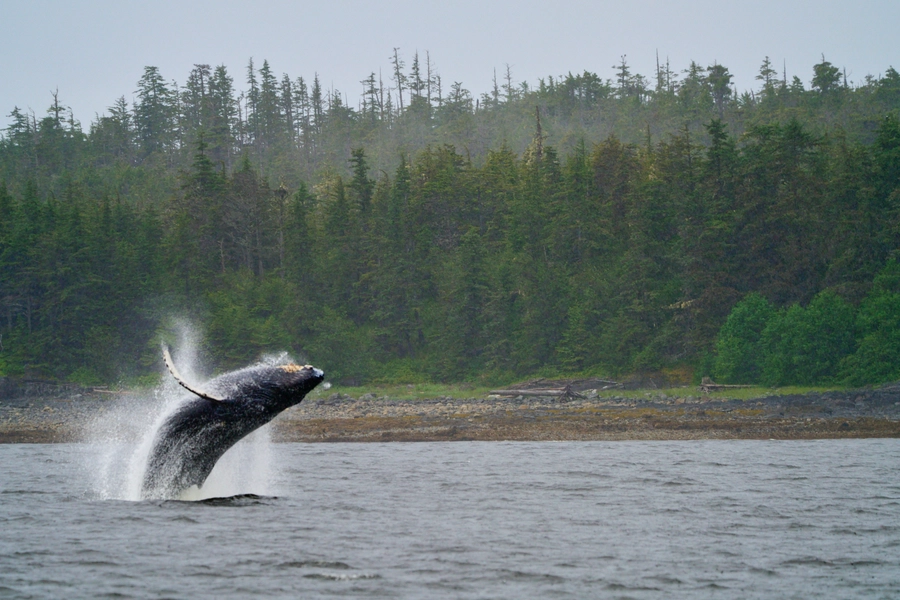 Peterburg, Alaska